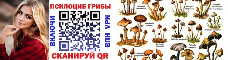 Галлюциногенные грибы мицелий  Орехово-Зуево 