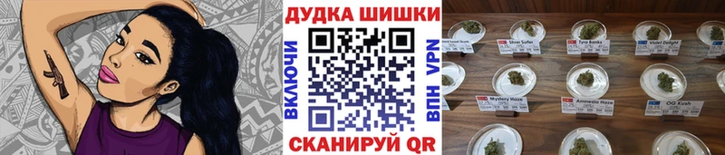 купить наркотики сайты  Орехово-Зуево  Канабис VHQ 